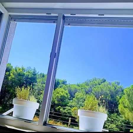 Apartament Secret Ingridients