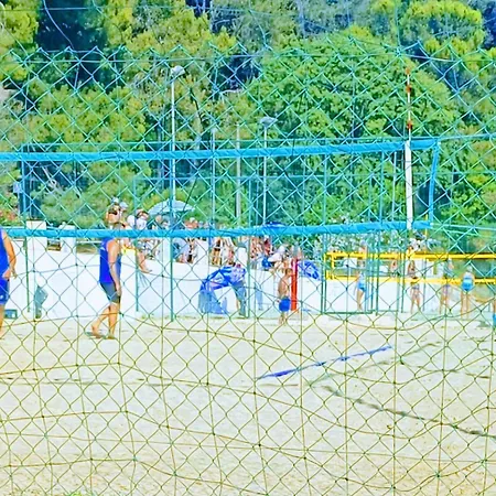 Secret Ingridients * Pola