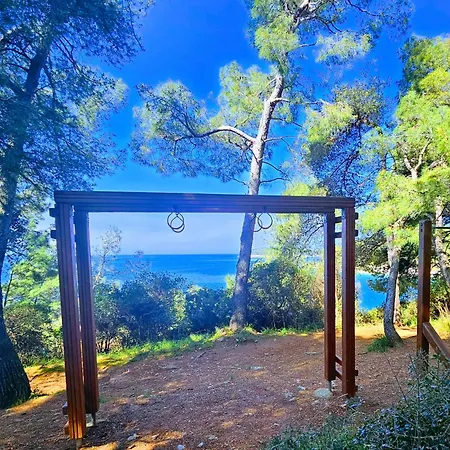 Secret Ingridients * Pola