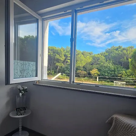 Secret Ingridients Apartment