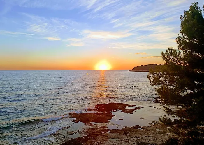 Secret Ingridients Apartment *