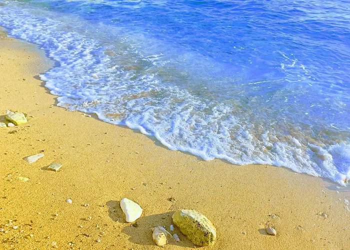 Secret Ingridients *