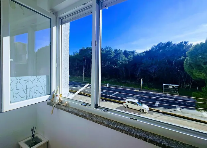 Apartman Secret Ingridients *